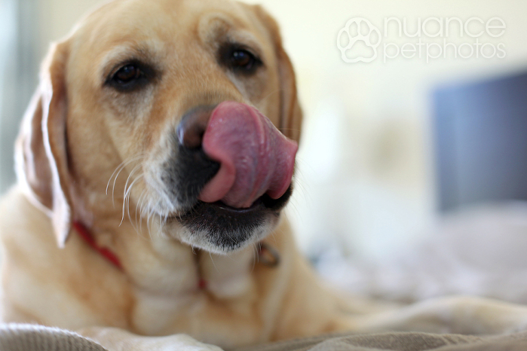 yummy_7-copy1